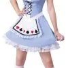 Alice Sexy Adult Costume