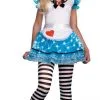 Alice In Wonderland Costume