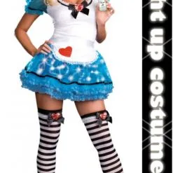 Alice In Wonderland Costume