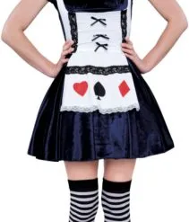 Gothic Alice Adult Costume