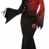 Queen Of Nightfall Adult Costume