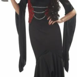Madame Macabre Adult Costume