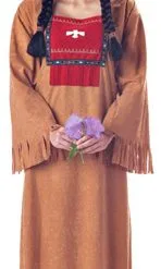 Adult Indian Princess Costume