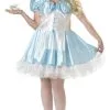 Sexy Alice In Wonderland Plus Size Adult Costume