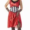 Saloon Girl Costume