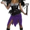 Spider Fairy Adult Costume