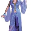 Dreamy Genie Adult Costume