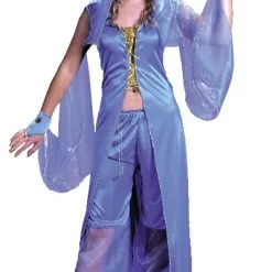 Dreamy Genie Adult Costume