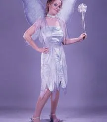 Watercolor Fairy Velvet Adult Costume