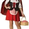 Red Riding Hood Plus Size Costume