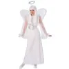 Adult Snow Angel Costume