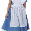 Adult Deluxe Alice Costume