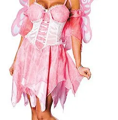 Adult Fairy Costume
