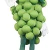 Adult Green Grapes Costume