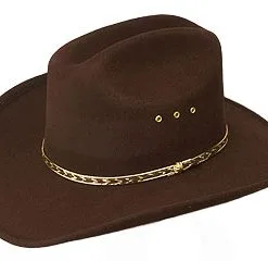 Brown Cowboy Hat
