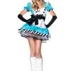 Charming Alice Costume