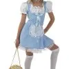 Teen Alice Costume