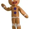 Child Gingerbread Man Costume