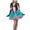 Delightful Mad Hatter Costume