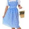 Dorothy Long Dress Costume