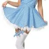 Adult Sexy Dorothy Costume