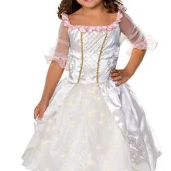 Fairytale Princess Costume