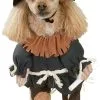 Scarecrow Dog Costume