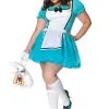 Plus Size Enchanted Alice Costume