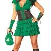 Robin Hood Costume