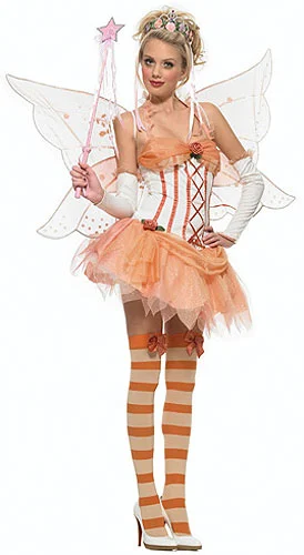 Sexy Fairy Princess Costume 1 Sexy Fairy Princess Costume