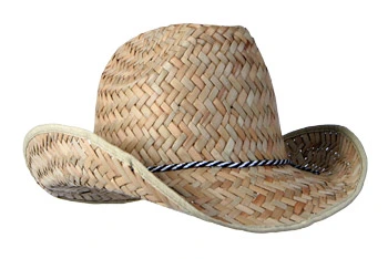 Straw Cowboy Hat 1 Straw Cowboy Hat