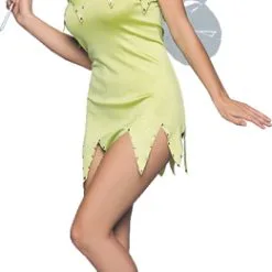 Fairy Costume